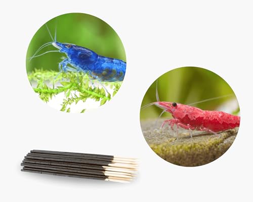 Neocaridina Garnelen Paket | Neocaridina Garnelen für Süßwasser Aquarium | 8 x Shrimp Lollies geschenkt | 7X Red Sakura & 7X Blue Dream Garnele von NatureHolic