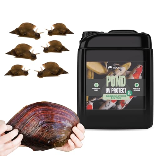 Teich Algenfrei Paket | Teichpflege Set für einen algenfreien und sauberen Gartenteich & Fischteich | 1x Teichzeit Pond UV Protect, 10x Spitzschlammschnecke & 10x Teichmuschel von NatureHolic