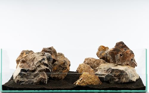 Versteinertes Holz Bunt | Echte Versteinerung Aquarium Deko | Naturstein für natürliche Aquarienlandschaft | 1 Stein | Größe:L 20-30cm von NatureHolic