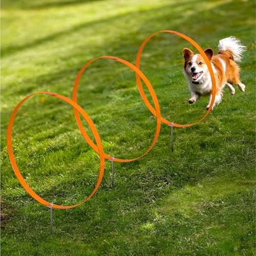 Navaris 3X Ring Agility Set Hunde klein und mittelgroß - 3er Hunde Agility Set - 3 Ringe für Hundesport Hundeparcour - Hunde Training Zubehör - Agility Hund Ringe - Orange von Navaris