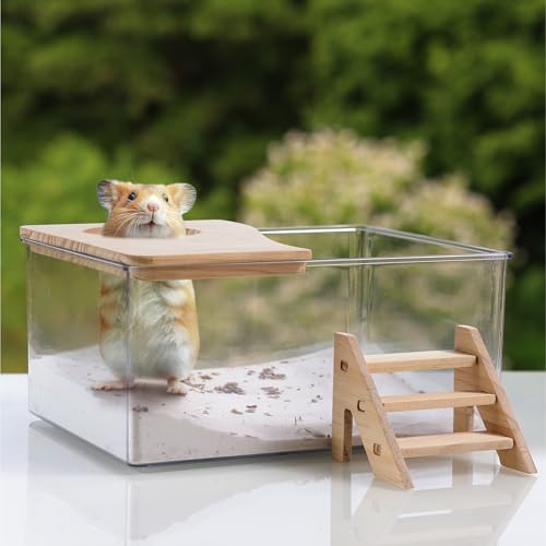 Navaris Hamster Sandbad mit Zubehör - Badesand für Nagetiere mit transparenter Box - Hamster Zwerghamster Mäuse Sand Bad - Hamster Sand Box fein - Hamsterzubehör von Navaris