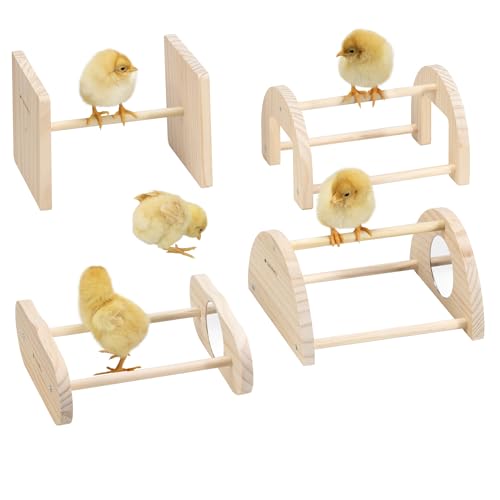 Navaris Vogel-Trainings-Spielzeug - Vogelspielzeug - Spielzeug Vögel - Vogelstange - 4er Set - Für kleine Vögel - Fördert Bewegung und sorgt für Unterhaltung - Holz von Navaris