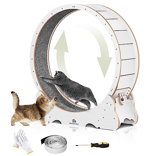 Naviconvex Laufband für Katzen, Laufrad für Indoor-Katzen, tägliche Übung, Katzenrad, Trainingsgerät für Katzen von Naviconvex