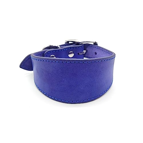 Navna Breit gepolstertes Hundehalsband, echtes Leder, Welpenhalsband für Lurcher, italienische Windhunde, bequemes Haustierzubehör, Whippets, Halsband, Lurcher, Windhunde Navna Breit gepolstertes Hundehalsband, echtes Leder, Welpenhalsband für Lurcher, italienische Windhunde, bequemes Haustierzubehör, Whippets, Halsband, Lurcher, Windhunde von Navna