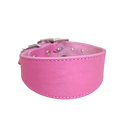 Navna Breites gepolstertes Hundehalsband, echtes Leder, Welpenhalsband für Lurcher, italienische Windhunde, bequemes Haustierzubehör, Whippets, Halsband, Lurcher, Windhunde Navna Breites gepolstertes Hundehalsband, echtes Leder, Welpenhalsband für Lurcher, italienische Windhunde, bequemes Haustierzubehör, Whippets, Halsband, Lurcher, Windhunde von Navna