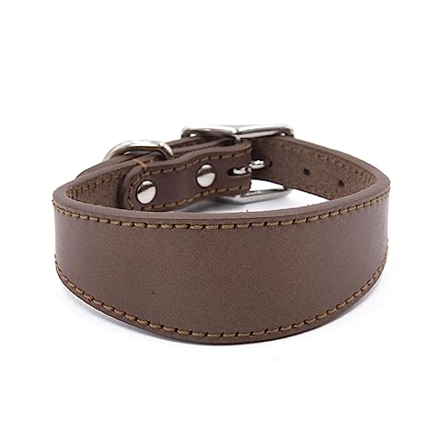 Navna Breites gepolstertes Hundehalsband, echtes Leder, Welpenhalsband für Lurcher, italienische Windhunde, bequemes Haustierzubehör, Whippets, Halsband, Lurcher, Windhunde Navna Breites gepolstertes Hundehalsband, echtes Leder, Welpenhalsband für Lurcher, italienische Windhunde, bequemes Haustierzubehör, Whippets, Halsband, Lurcher, Windhunde von Navna
