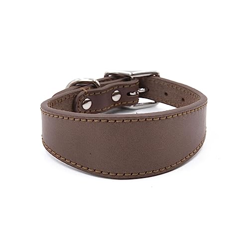 Navna Breites gepolstertes Hundehalsband, echtes Leder, Welpenhalsband für Lurcher, italienische Windhunde, bequemes Haustierzubehör, Whippets, Halsband, Lurcher, Windhunde Navna Breites gepolstertes Hundehalsband, echtes Leder, Welpenhalsband für Lurcher, italienische Windhunde, bequemes Haustierzubehör, Whippets, Halsband, Lurcher, Windhunde von Navna