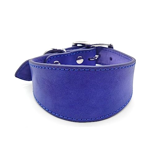 Navna Breites gepolstertes Hundehalsband, echtes Leder, Welpenhalsband für Lurcher, italienische Windhunde, bequemes Haustierzubehör, Whippets, Halsband, Lurcher, Windhunde Navna Breites gepolstertes Hundehalsband, echtes Leder, Welpenhalsband für Lurcher, italienische Windhunde, bequemes Haustierzubehör, Whippets, Halsband, Lurcher, Windhunde von Navna