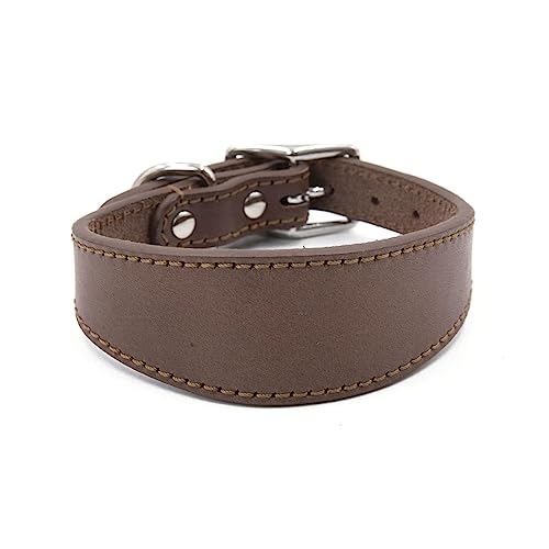Navna Breites gepolstertes Hundehalsband, echtes Leder, Welpenhalsband für Lurcher, italienische Windhunde, bequemes Haustierzubehör, Whippets, Halsband, Lurcher, Windhunde Navna Breites gepolstertes Hundehalsband, echtes Leder, Welpenhalsband für Lurcher, italienische Windhunde, bequemes Haustierzubehör, Whippets, Halsband, Lurcher, Windhunde von Navna