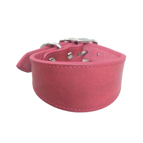 Navna Breites gepolstertes Hundehalsband, echtes Leder, Welpenhalsband für Lurcher, italienische Windhunde, bequemes Haustierzubehör, Whippets, Halsband, Lurcher, Windhunde Navna Breites gepolstertes Hundehalsband, echtes Leder, Welpenhalsband für Lurcher, italienische Windhunde, bequemes Haustierzubehör, Whippets, Halsband, Lurcher, Windhunde von Navna