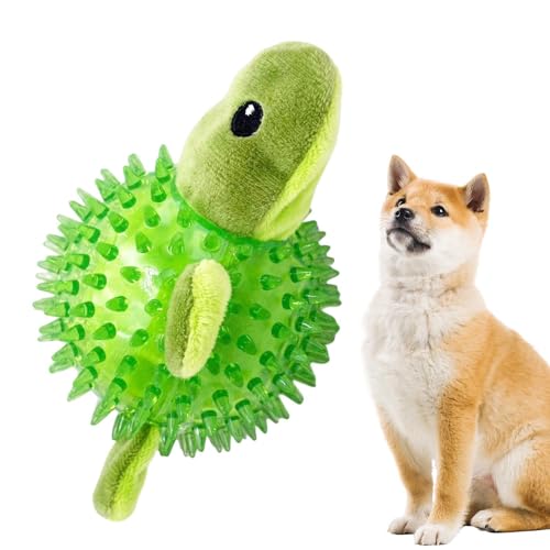 Quietschende Bälle für Hunde, stacheliger, quietschender Hundeball, gefüllter Frosch/Igel, Hundespielzeug, Plüschspielzeug für aggressive Kauer, Frosch/Igel, schwimmendes Hundespielzeug, gefülltes von Nbbwwu