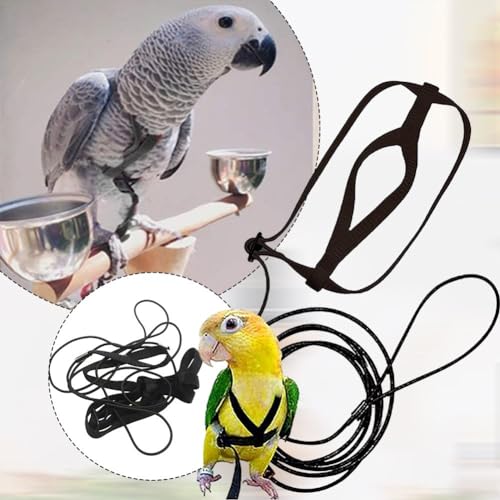 Praktische Papageienleine, leicht zu dehnen und festzuziehen, elastischer Stoffgurt (M) von NbgrvB
