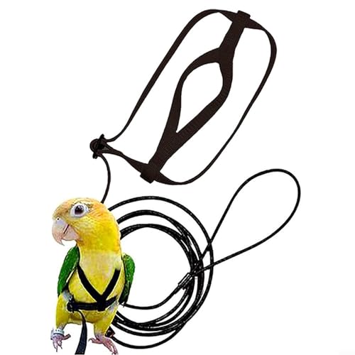 Praktische Papageienleine, leicht zu dehnen und festzuziehen, elastischer Stoffgurt (S) von NbgrvB
