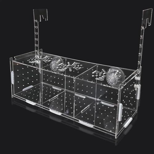 Fischzuchtbox, Fischzuchtbox | Transparente Acryl-Aufzuchtbox mit Haken | Rutschfester Aquarium-Inkubator, multifunktionale Isolationsbox für Fische von Nbhuiakl