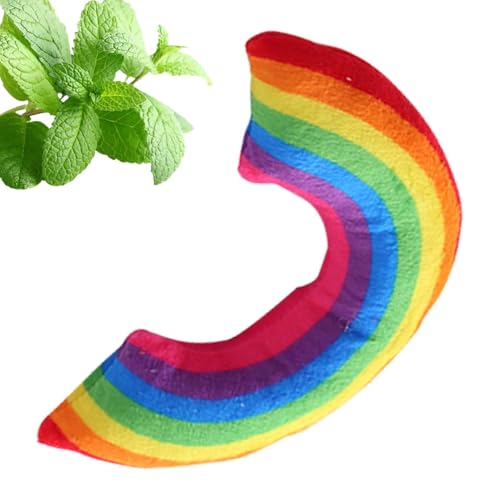 Nbhuiakl Katzenspielzeug Regenbogen Plüsch Regenbogen Kissen Catnip Katzenspielzeug Interaktives Cat Spielzeug mit Katze für Indoor-Kätzchen, fördern die Übung des Kätzchens von Nbhuiakl