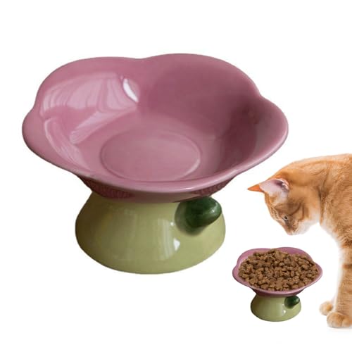 Nchdewui Fressnapf Aus Keramik, Anti Erbrechen Fressnapf Katze, Schützt Die Wirbelsäule Der Katze, Katzenfutterstationen für Welpen, Katzen Und Kleine Hunde (Purple Plate) von Nchdewui