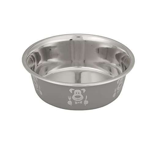 Hungry Dog Futternapf, klein, 473 ml, Grau von Neater Pet Brands