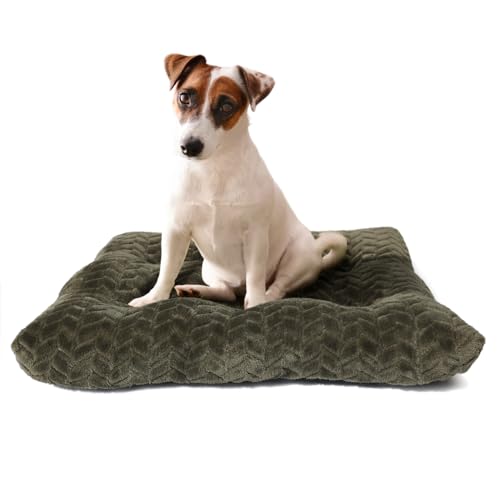 Necesitar Hundebett, 76,2 cm, für mittelgroße Hunde, waschbar, weich und bequem, mit rutschfestem, bequemem Schlafkissen, bis zu 18 kg, 76,2 x 48,2 cm, Olivgrün von Necesitar