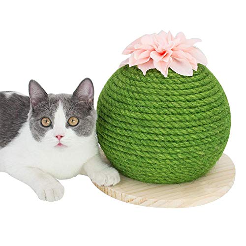 Neckip Katze Ball, Katzenbälle, Katzen Kratzbrett, Spielzeug Bälle für Katzen, Kaktus Natürlich Sisal Kratzbaum, Katze Interaktiv Spielzeug Katze von Neckip