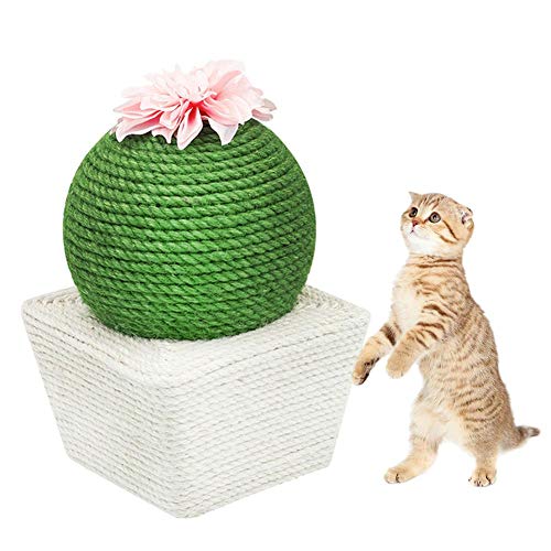 Neckip Katze Ball, Katzenbälle, Katzen Kratzbrett, Spielzeug Bälle für Katzen, Kaktus Natürlich Sisal Kratzbaum, Katze Interaktiv Spielzeug Katze von Neckip