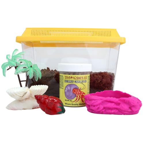 Einsiedlerkrebs-Starter-Set, All-in-One-Set mit Terrarium, Palmen-Wasserschale, bemalten Muscheln, Kokosfaser, Pool und Futter (17,8 cm L x 10,2 cm B x 10,8 cm H) von Needzo