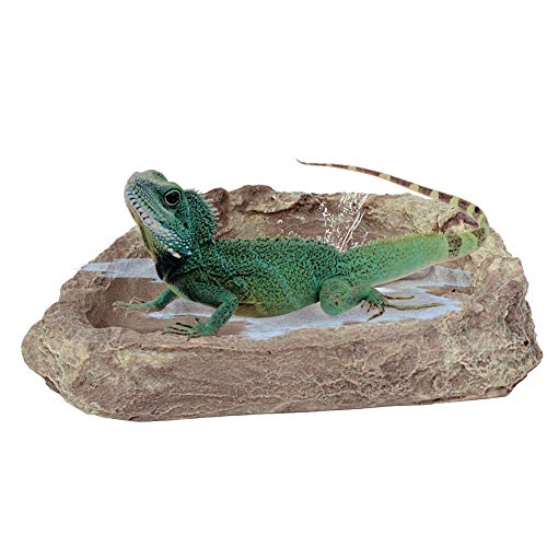 Needzo Terrarienzubehör für Reptilien, mittelgroßes Reptilienbadbecken für Frösche, Einsiedlerkrebse, Eidechsen und mehr, Aquarium-Dekoration, 12,7 cm von Needzo