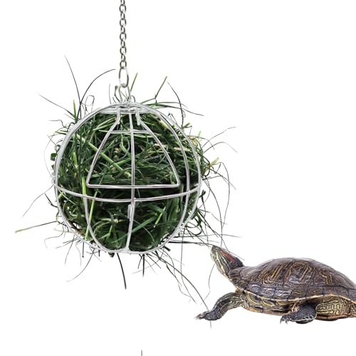 11,9 cm Schildkröten-Leckerli-Ball Spielzeug, hängende Schildkröte Edelstahl Heu-Futterball Kleintiergras Obst Gemüse Feeder Halter Geeignet für Schildkröte Schildkröte Meerschweinchen Hamster Ratte von Neeenn