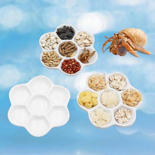 3 Stück Einsiedlerkrebs Keramik Futterschale Einsiedlerkrebs Futter & Wasser Schüssel Mini Food Dish Kit Geeignet für Einsiedlerkrebs Tarantel Schnecke von Neeenn