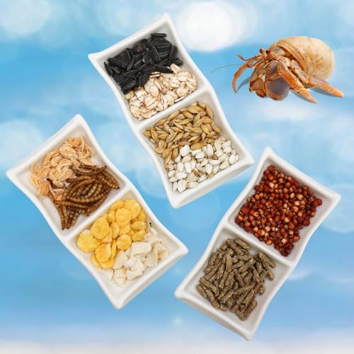 3 Stück Einsiedlerkrebs Keramik Futterschale Einsiedlerkrebs Futter & Wasser Schüssel Mini Food Dish Kit Geeignet für Einsiedlerkrebs Tarantel Schnecke von Neeenn