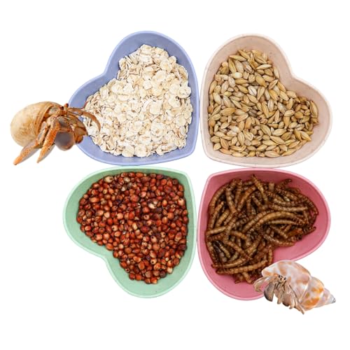 4 Stück Einsiedlerkrebs Kunststoff Futterschale Einsiedlerkrebs Futter & Wasser Schüssel Mini Food Dish Kit Geeignet für Einsiedlerkrebs Tarantel Schnecke von Neeenn