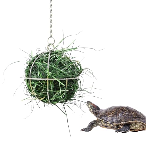 7,9 cm Schildkröte Leckerli Ball Spielzeug Hängende Schildkröte Edelstahl Heu-Futterball Kleintier Gras Obst Gemüse Feeder Halter Geeignet für Schildkröte Schildkröte Meerschweinchen Hamster Ratte von Neeenn