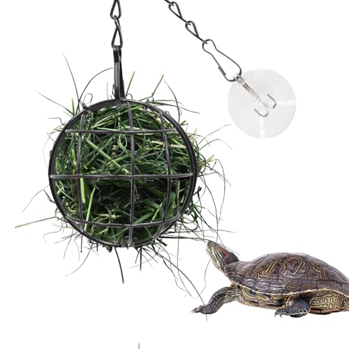 7,9 cm Schildkröte Leckerli Ball Spielzeug Hängende Schildkröte Edelstahl Heu-Futterball Kleintier Gras Obst Gemüse Futterspender Halter Geeignet für Schildkröte Schildkröte Meerschweinchen Hamster von Neeenn