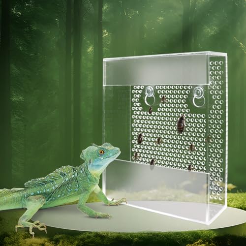 Bartdrachen Feeder, Chamäleon Bug Bowl, Transparentk Acryl Reptilien Feeder Box, Wandmontierter Insektenfutterspender mit Saugnäpfen, Tank und Aquarium Zubehör für Bartdrache Eidechse Gecko Frosch von Neeenn