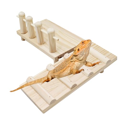 Eidechsenplattform mit Kletterrampe Bartagamenlebensraum Holz Reptilien Kletterspielzeug Tank und Aquarium Zubehör für Reptilien Gecko Schildkröte Chamäleon Hamster Meerschweinchen Einsiedlerkrebs von Neeenn