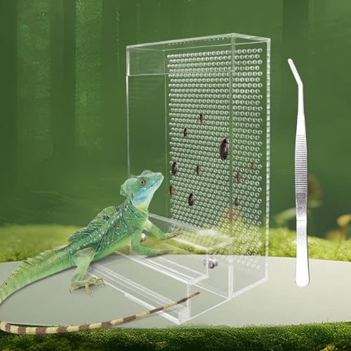 Großer Bartagamen-Futterspender Chamäleon Käfer Schüssel Kit mit Stufen Transparente Acryl Reptilien Feeder Box Tank & Aquarium Zubehör Insektenfutterspender für Reptilien Eidechse Gecko Frosch 8,2 × von Neeenn