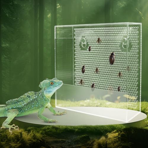 Großer Bartdrachen Futterspender Chamäleon Käfer Schale Transparentk Acryl Reptilien Feeder Box Wandmontage Insekten Feeder mit Saugnäpfen Tank und Aquarium Zubehör für Eidechse Bartagamische Gecko von Neeenn