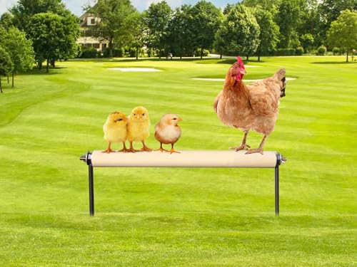 Chicken Barch Toys Holz Küken Sitzstange Ständer mit Metall Bodenstopfen Outdoor Vögel Trainingsplattform Hühnerstall Zubehör Geeignet für Geflügel Hahnküken Große Vögel Küken Papageien von Neeenn