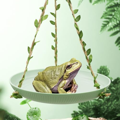 Neeenn Frosch Schaukel Spielzeug, Gecko Swing Toys, Kunststoff Reptilien Amphibien Kletterspielzeug Tank Aquarium Terrarium Dekoration Zubehör, Geeignet für Frosch Gecko Eidechse Chamäleon Einsiedler von Neeenn