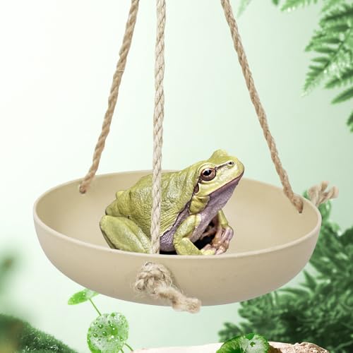 Neeenn Frosch Schaukel Spielzeug, Gecko Swing Toys, Kunststoff Reptilien Amphibien Kletterspielzeug Tank Aquarium Terrarium Dekoration Zubehör, Geeignet für Frosch Gecko Eidechse Chamäleon von Neeenn