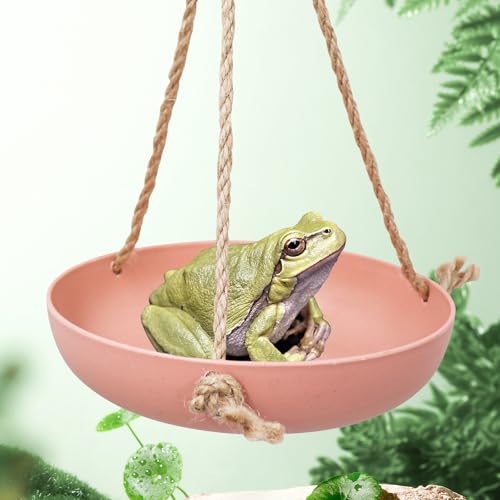 Neeenn Frosch Schaukel Spielzeug, Gecko Swing Toys, Kunststoff Reptilien Amphibien Kletterspielzeug Tank Aquarium Terrarium Dekoration Zubehör, Geeignet für Frosch Gecko Eidechse Chamäleon von Neeenn