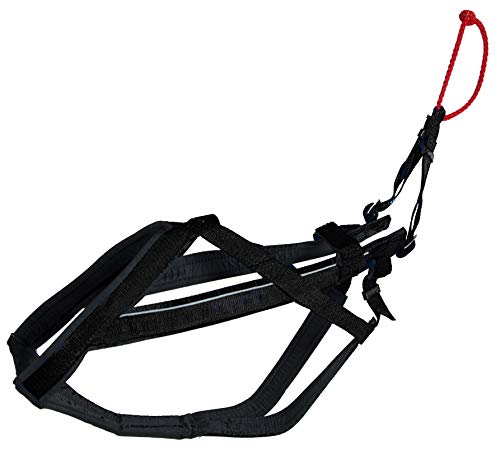 Neewa 8033087538465 – Racing Harness Schwarz Large von Neewa