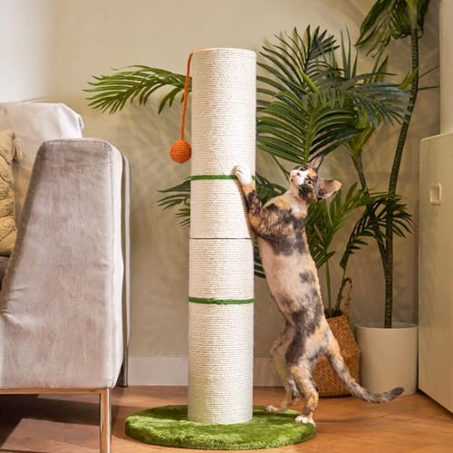 Nekosan Kratzbaum für Katzen, 86,4 cm hoch, für den Innenbereich, mit 14 cm Sisalumwickeltem Pfosten, hängendes Ballspielzeug, ideal für große Katzen und Kätzchen, möbelfreundlich, Beige von Nekosan