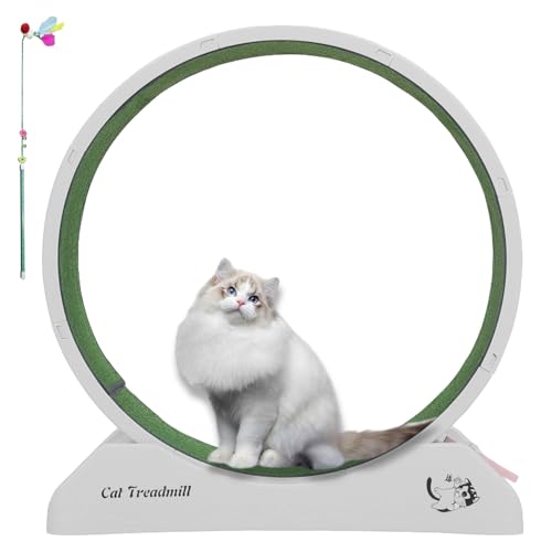 Katzen-Laufrad, 80 cm (31,5 Zoll), einfache Installation, leises Rad-Design, Katzenräder für Indoor-Katzen, Laufband für Katzen-Fitness, geeignet für die meisten Katzen (grau) von Neltharion