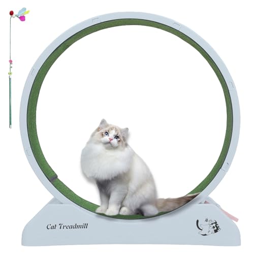 Katzen-Laufrad, 80 cm (31,5 Zoll), einfache Installation, leises Rad-Design, Katzenräder für Indoor-Katzen, Laufband für Katzen-Fitness von Neltharion