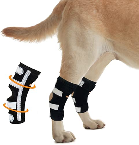 Hosenträger für Hunde mit Rückbeinen, sehr stützend, mit Doppelfedereinsätzen aus Metall zur Stabilisierung der Hinterbeine, hilft Hunde bei Verletzungen, Verstauchungen, Arthritis, ACL (XS Paar), XL von NeoAlly