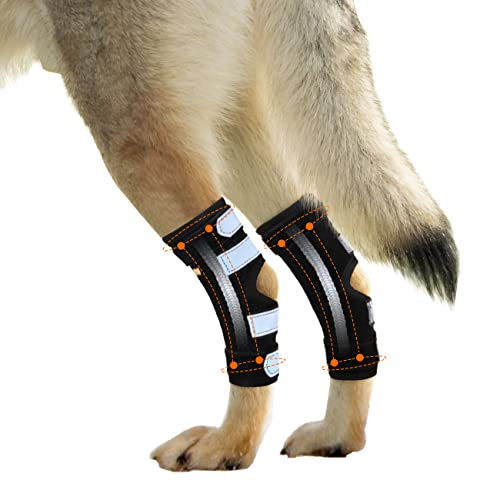 NeoAlly Braces for Dog Rear Legs Super Supportive with Dual Metal Spring Inserts to Stabilize Dog Hind Legs, Help Dogs with Injuries Sprains Arthritis ACL CCL (Medium Pair) von NeoAlly