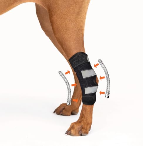 NeoAlly - Hinterbeinbandage mit Metallfederstreifen, Hundebeinbandage für Hinterbein, Sprunggelenk & Knöchelstütze, Hintere Hundebeinbandage für große Hunde, lang(linkes Bein, Medium) von NeoAlly