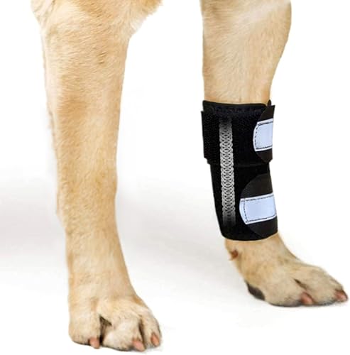 NeoAlly - Vorderbeinbandage für Hunde & Katzen, Hundebeinbandage mit Metallfedereinsätzen, Hundebeinmanschette zur Karpalstütze, Hundebeinmanschette mit reflektierenden Riemen, L bis XL, linkes Bein von NeoAlly