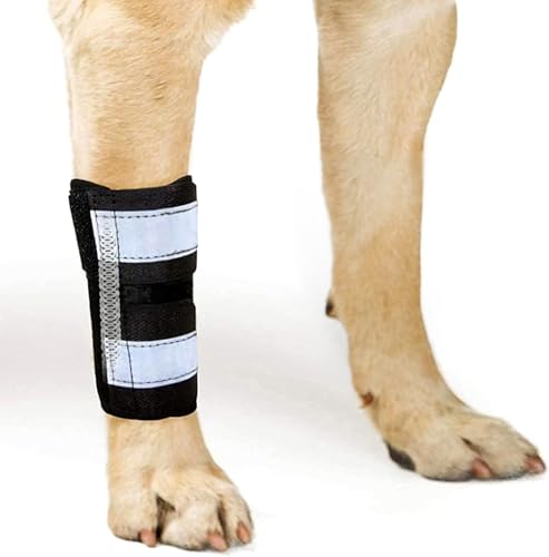 NeoAlly - Vorderbeinbandage für Hunde & Katzen, Hundebeinbandage mit Metallfedereinsätzen, Hundebeinmanschette zur Karpalstütze, Hundebeinmanschette mit reflektierenden Riemen, L bis XL, rechtes Bein von NeoAlly