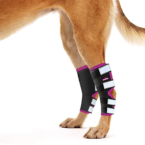 NeoSportsLab Hundebeinbandage – Hinterbein, Pink, Größe XS von NeoAlly